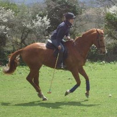 Profile Picture of Clare Davison (@clare_davison) on Twitter