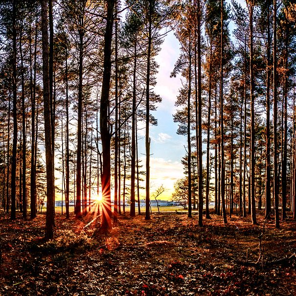 Profile Picture of Mark Batty (@markbattyuk) on Tiktok