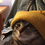 Profile Picture of George Ono (@yossan_o) on Instagram