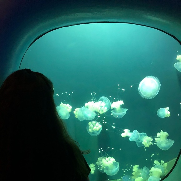 Kaitlyn Wiedower - Poshmark Profile Picture of Kaitlyn Wiedower (@kaitwiedower) on Poshmark