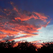 Profile Picture of Alexander Van Dell (@alexandervandell1470) on Youtube