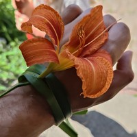 Profile Picture of Adam Ross (@adam-ross-94) on Quora