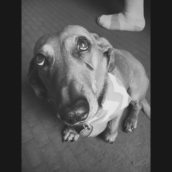 Profile Picture of Benjamin Goeman (@bengoeman) on Poshmark