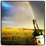 Profile Picture of Chris Maloy (@cmaloy942) on Instagram