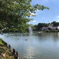 Profile Picture of Daniela Escobar (@daniela-escobar-58) on Quora