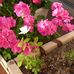 Profile Picture of Jeanclaude Charpentier (@jeanclaude.charpentier.108) on Facebook