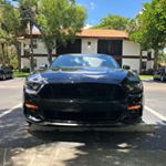 Profile Picture of Randall (@flabbycouch) on Instagram