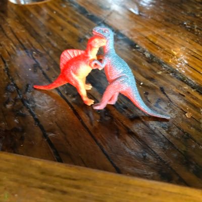 Profile Picture of Lori Myers-Carpenter (@CarpenterMyers) on Twitter