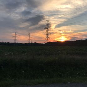 Samantha Alfieri - Pinterest Profile Picture of Samantha Alfieri (@alfiers293) on Pinterest