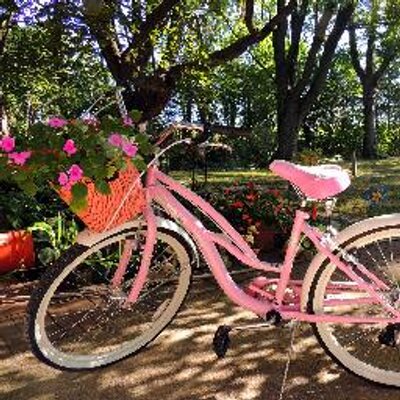 Profile Picture of Pam Baumer (@pamby48) on Twitter