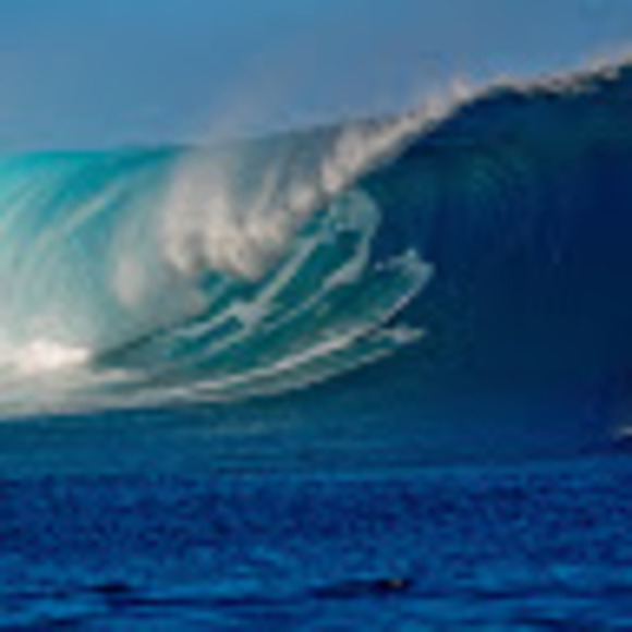 Profile Picture of Jacob Paradis (@paradis2176) on Poshmark