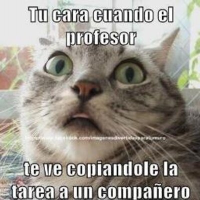 Profile Picture of Leo Cisneros (@elmastersitho) on Twitter
