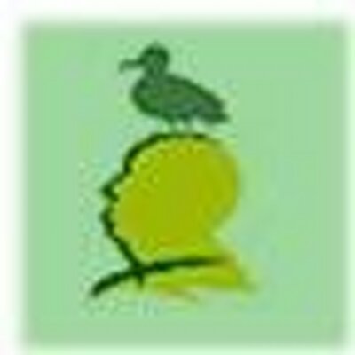 Profile Picture of Richard Fong (@Ouch_) on Twitter