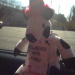 Marvin Lea Whaley - Instagram Profile Picture of Marvin Lea Whaley (@marvin_the_cow_me) on Instagram