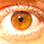 Profile Picture of Samuel (@mon petit coin de paradis) on Flickr