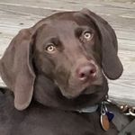 Profile Picture of Deb Graham (@debgraham84) on Instagram