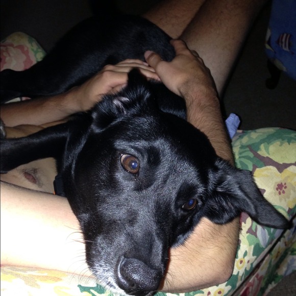 Profile Picture of Kristin Athens (@krathens) on Poshmark