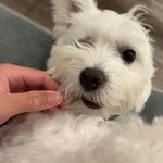 Profile Picture of keith wong (@keith._wong) on Instagram