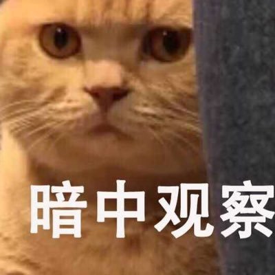 Profile Picture of Lin_xia (@linxia06509609) on Twitter