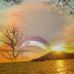 Profile Picture of Leon Swartz (@leon.swartz.710) on Facebook