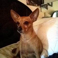 Profile Picture of Jerry Bucher (@@jerrybucher) on Tiktok