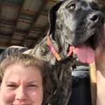 Profile Picture of Kerrybryne (@kerryzachar) on Instagram