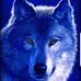 Profile Picture of Fady Soliman (@fady.soliman.127) on Facebook