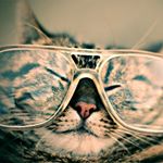 Profile Picture of Jose Mulero (@jose_mulero_07) on Instagram