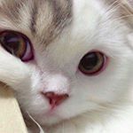 Profile Picture of Sandra (@sandra_pino_lucas) on Instagram