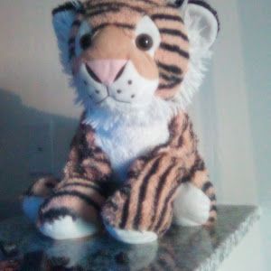 Profile Picture of David Mowery (@david.mowery5) on Tiktok