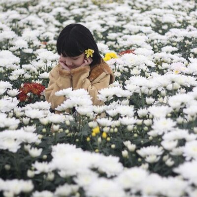 Profile Picture of Ngan Phan (@nganphan94) on Twitter