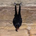 Profile Picture of Jorge Arreola (@jorge_arreola) on Instagram