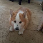 Profile Picture of Wendy Rider (@wendyrider58) on Instagram