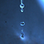 Profile Picture of Emmett Perkins (@emmett perkins) on Flickr