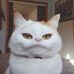 Profile Picture of Jacob Brinkman (@jacob.brinkman.393) on Facebook