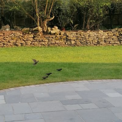 Profile Picture of Mark Farrington (@MarkFarringto13) on Twitter