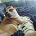 Profile Picture of James Sinke (@james.sinke.982) on Facebook