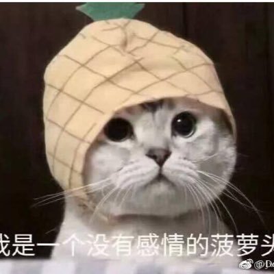 Profile Picture of Kris (@Rosie08051) on Twitter