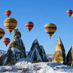 Profile Picture of Brad Shores (@BradShores) on Twitter