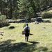 Profile Picture of Jeff Shaw (@jxjshaw) on Pinterest