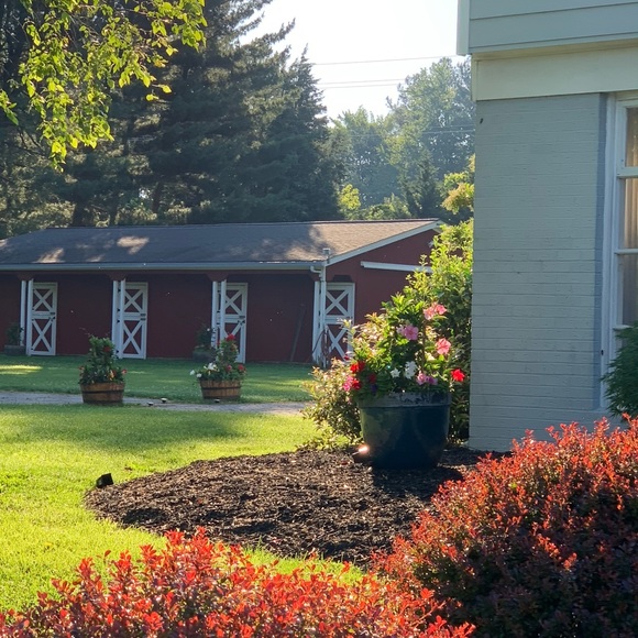 Profile Picture of Alexandra Stathes (@a_stathes) on Poshmark