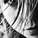 Profile Picture of Cláudia Amorim (@www.clauamorim.com.br) on Flickr