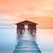 Profile Picture of Clack Lee (@clacklee) on Pinterest