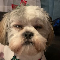 Profile Picture of Lucas Slowik (@lucas-slowik-1) on Quora