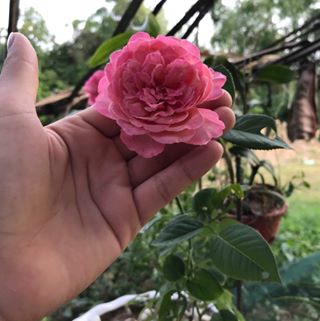 Profile Picture of Quy Phan (@Quy-Phan) on Facebook