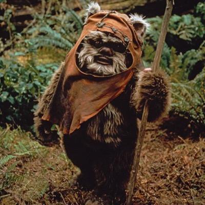 Profile Picture of Andy MacIntosh (@EwoksAreGreat) on Twitter