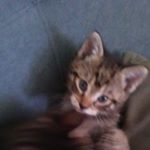 Isabelle Texier Jolly - Instagram Profile Picture of Isabelle Texier Jolly (@texierjolly) on Instagram