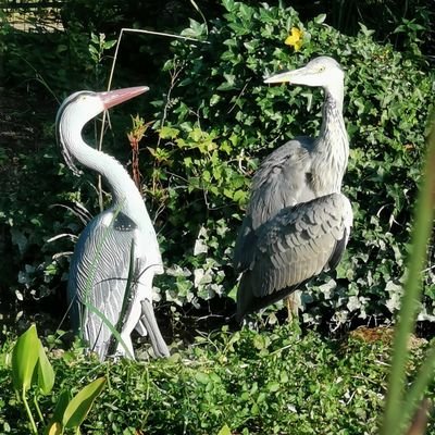 Profile Picture of Karl Troy (@KarlTroyLondon) on Twitter