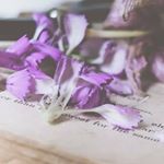 Profile Picture of Nancy Granger (@granger1999nancy) on Instagram