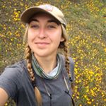 Profile Picture of Sarah Sampson (@seasampson) on Instagram